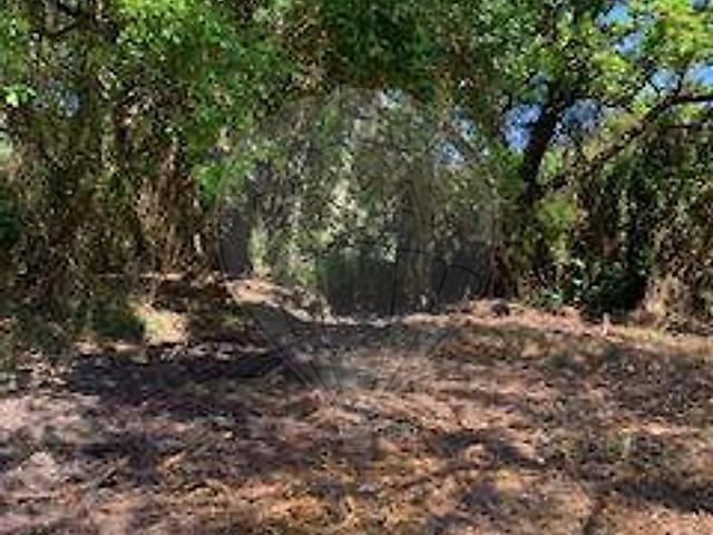 Terreno venda em Morelinho, Sintra (Santa Maria e São Miguel, São Martinho e São Pedro de Penaferrim)