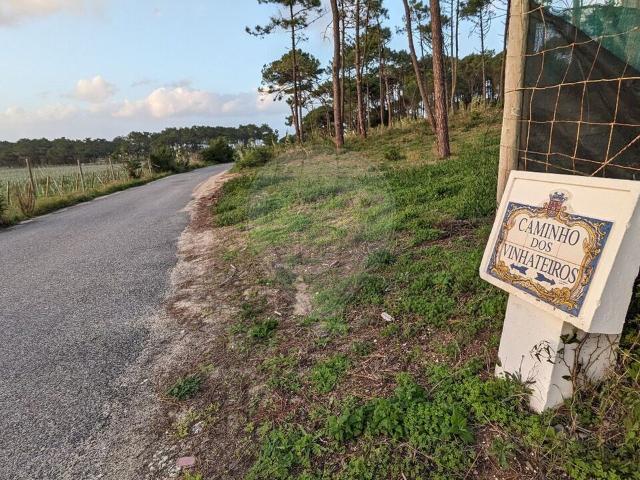Terreno venda em Janas, Sintra (Santa Maria e São Miguel, São Martinho e São Pedro de Penaferrim)