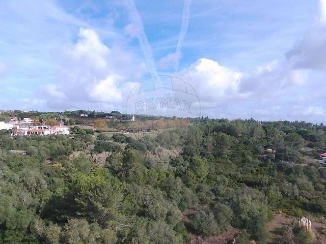 Terreno venda em Quinta Verde, Sintra (Santa Maria e São Miguel, São Martinho e São Pedro de Penaferrim)