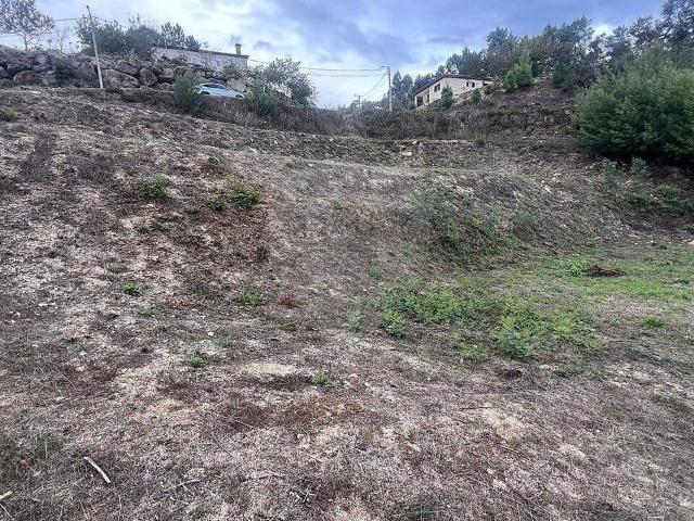 Terreno venda em Quintela, Soalhães