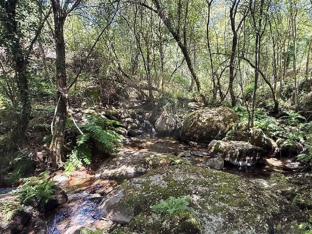 Terreno venda em Fundo da Vila, Soalhães