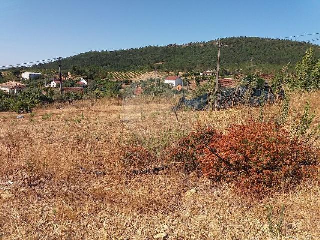 Terreno venda em Sobreira Formosa e Alvito da Beira, Proença-a-Nova