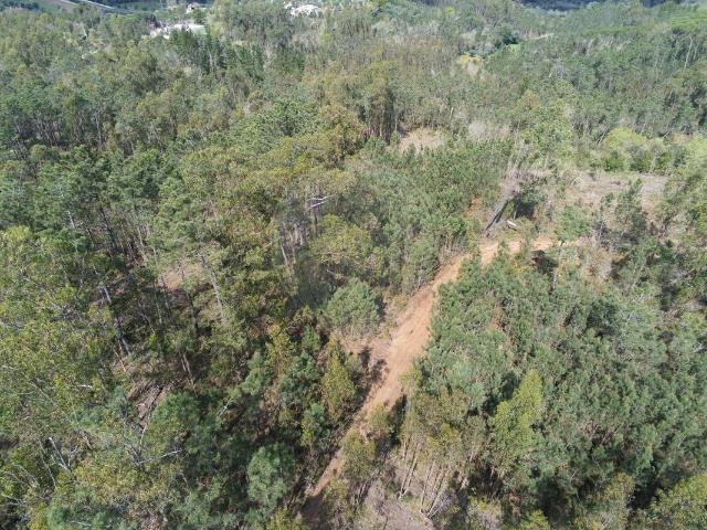 Terreno venda em Soure, Coimbra