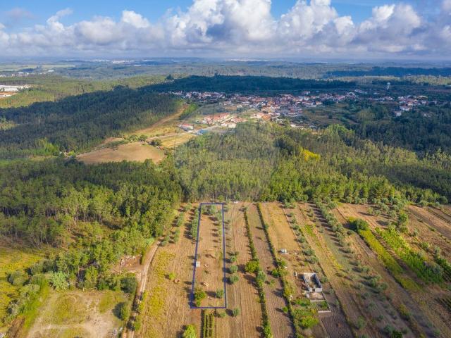 Terreno venda em Casal das Brancas, Soure
