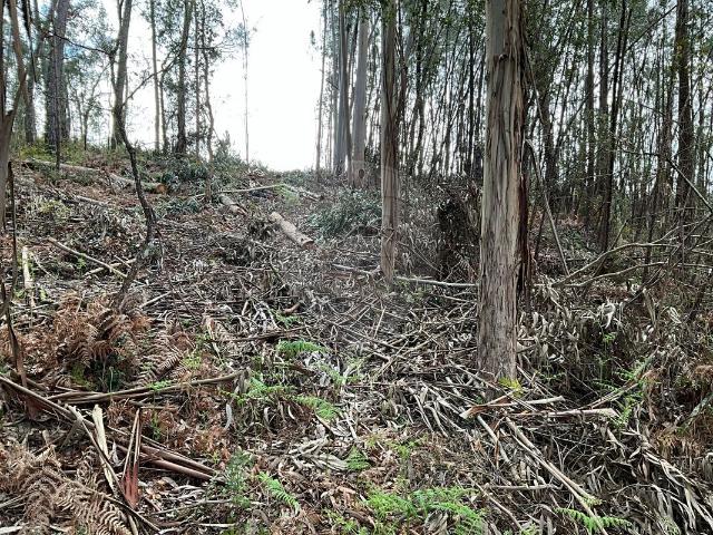 Terreno venda em Soure, Coimbra