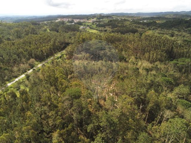 Terreno venda em Soure, Coimbra