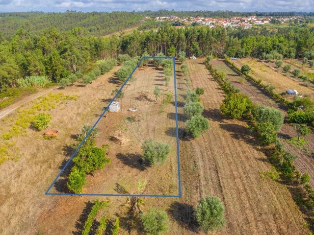 Terreno venda em Soure