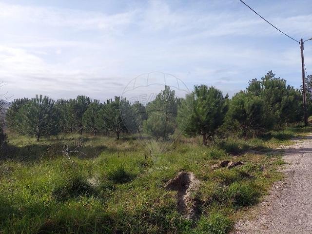 Terreno venda em Soure