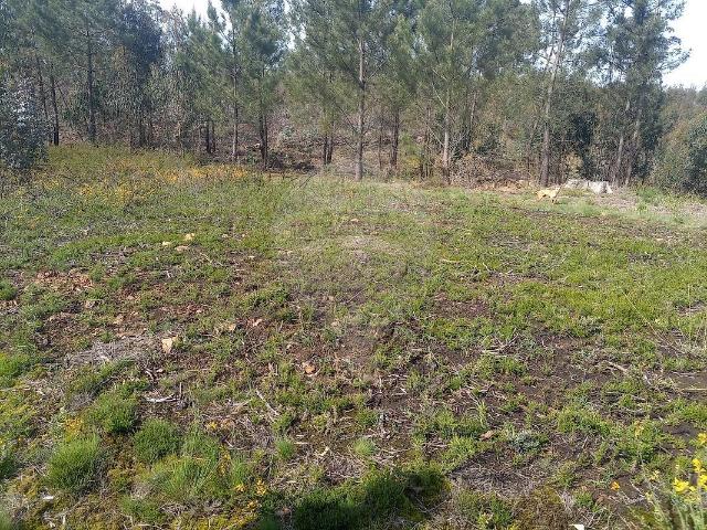 Terreno venda em Sousela, Lousada