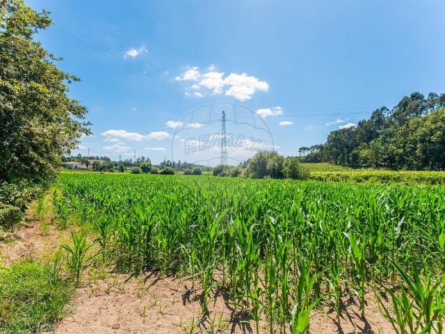 Terreno venda em Soutelo, Vila Verde