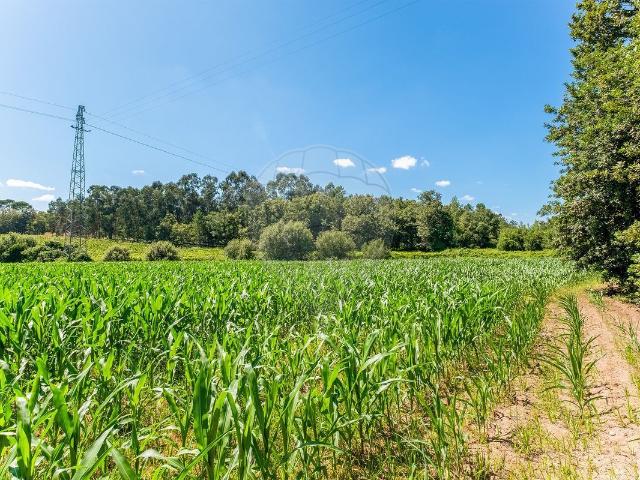 Terreno venda em Soutelo, Vila Verde