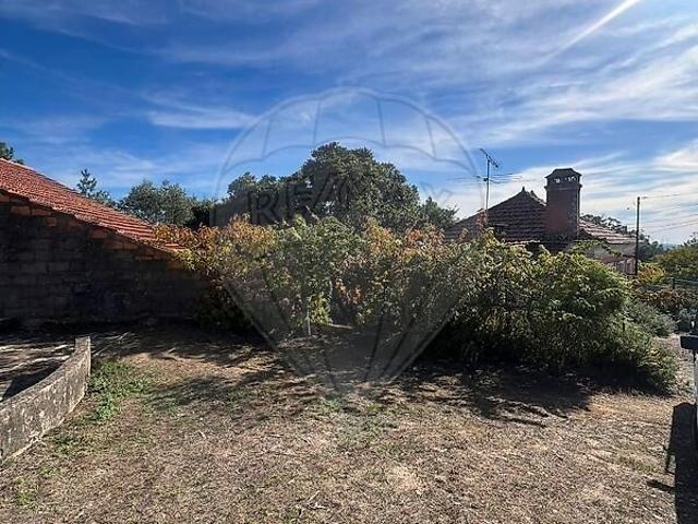 Terreno venda em Souto de Carpalhosa, Leiria