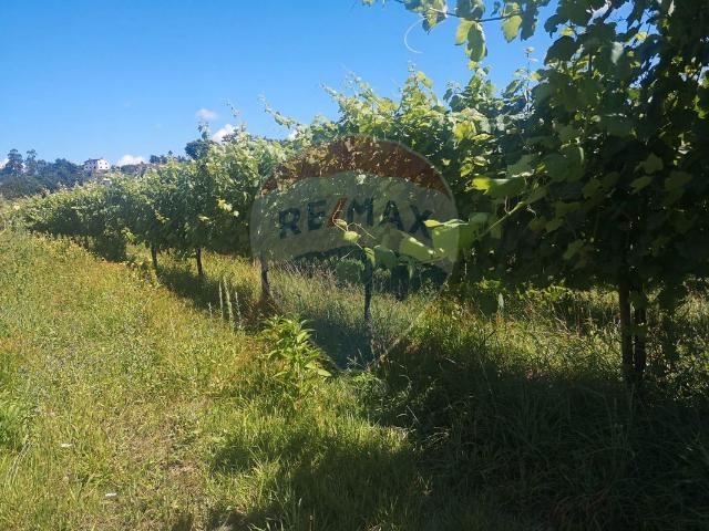 Terreno venda em Souto e Tabaçô, Arcos de Valdevez