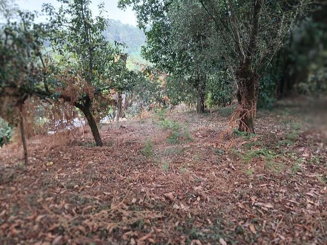 Terreno venda em Passos, Terras de Bouro