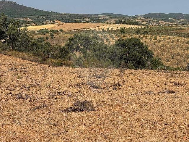 Terreno venda em Suçães, Mirandela