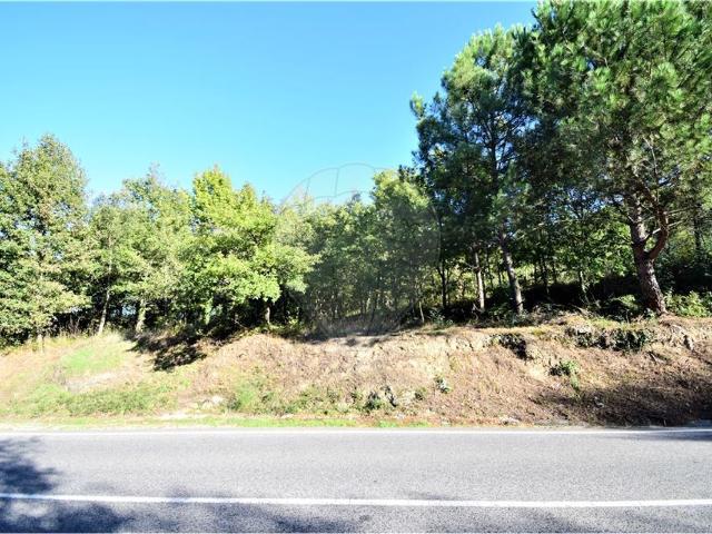 Terreno venda em Tábua, Coimbra