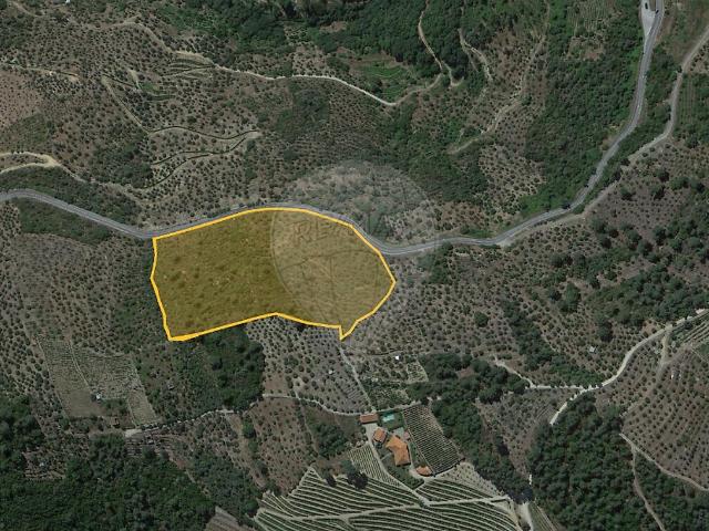 Terreno venda em Viseu