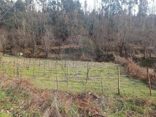 Terreno venda em Outeiro, Tabuado