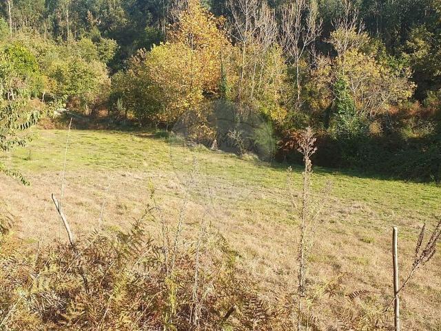 Terreno venda em Outeiro, Tabuado