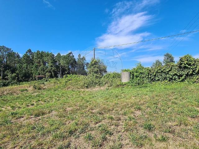 Terreno venda em Talhadas, Sever do Vouga