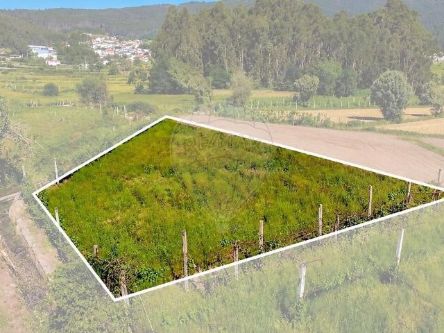 Terreno venda em Tamel (Santa Leocádia) e Vilar do Monte, Barcelos