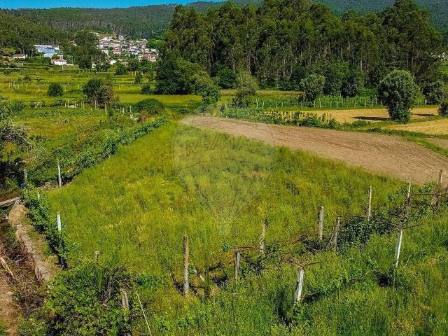 Terreno venda em Tamel (Santa Leocádia) e Vilar do Monte, Barcelos