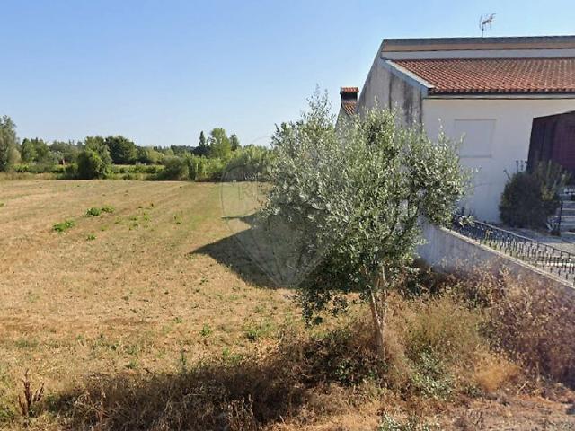 Terreno venda em Tamengos, Aguim e Óis do Bairro, Anadia