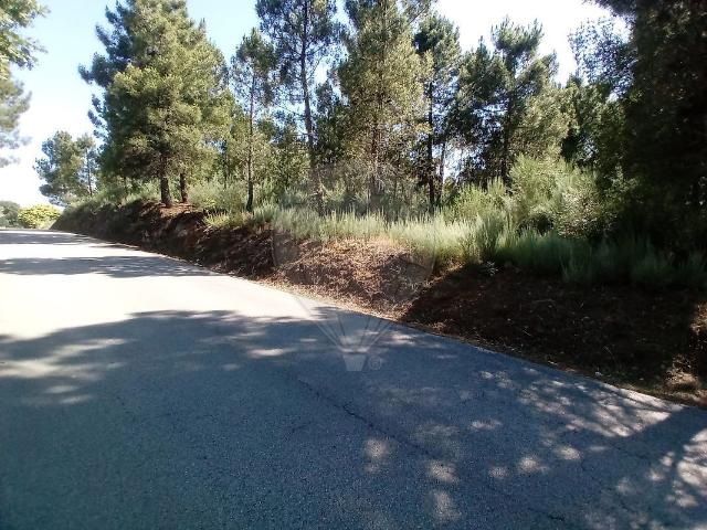 Terreno venda em Tarouca, Viseu