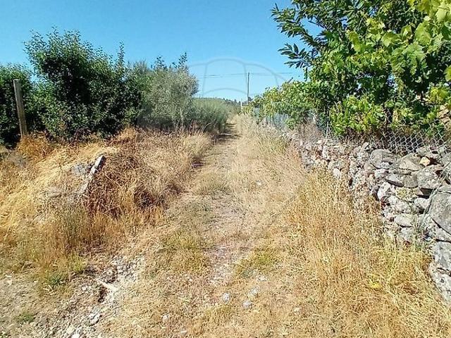 Terreno venda em Tarouca, Viseu