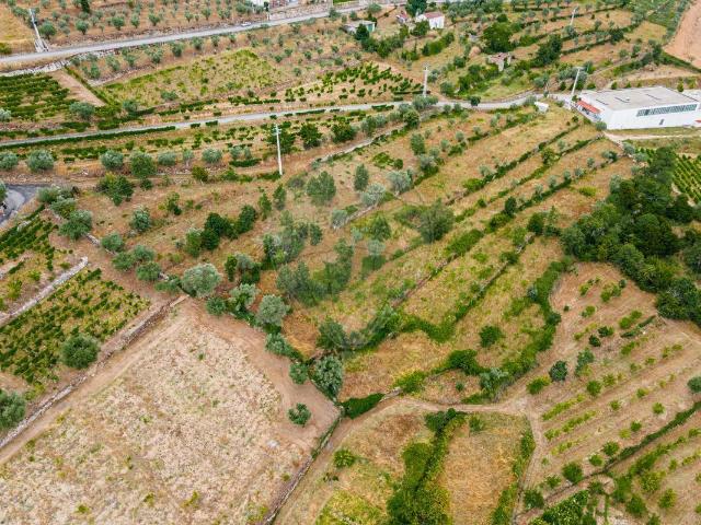 Terreno venda em Tarouca, Viseu