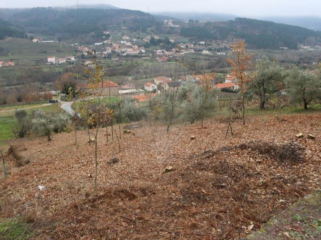 Terreno venda em Tarouca, Viseu