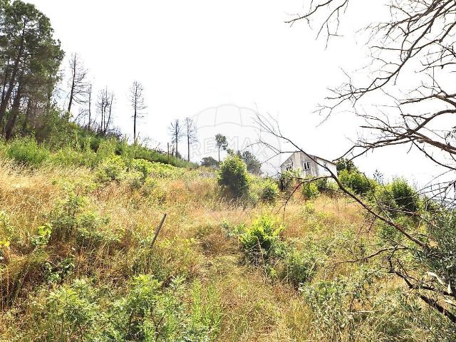 Terreno venda em Teixoso e Sarzedo, Covilhã