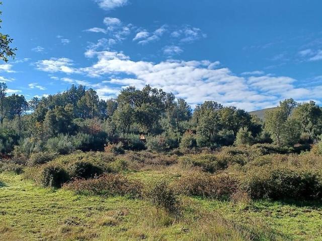 Terreno venda em Telhado, Fundão