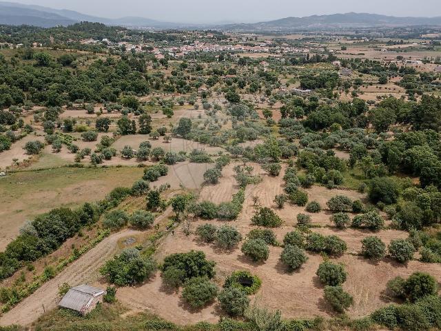 Terreno venda em Telhado, Fundão