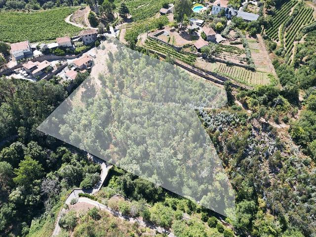 Terreno venda em Termas de São Vicente, Penafiel