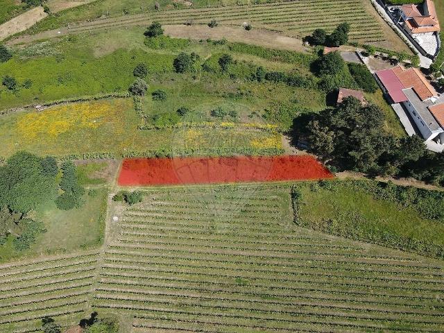 Terreno venda em Termas de São Vicente, Penafiel