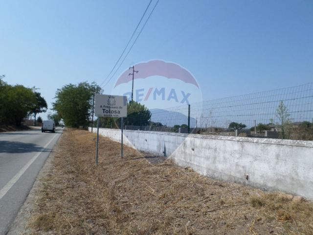 Terreno venda em Nisa, Portalegre