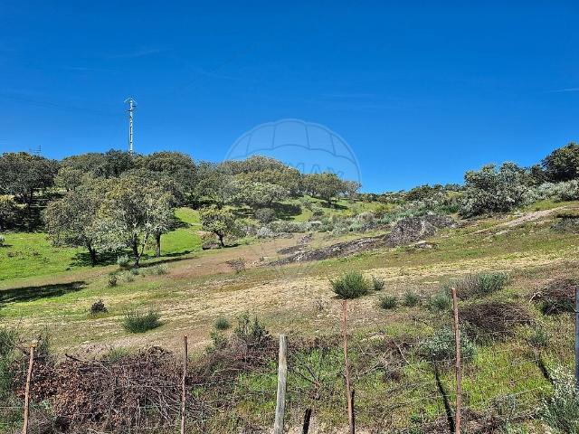 Terreno venda em Tolosa, Nisa
