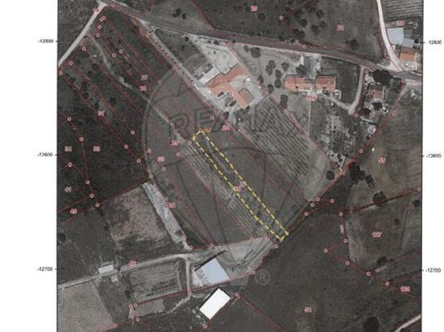 Terreno venda em Tomar, Santarém