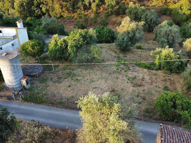 Terreno venda em Tomar, Santarém