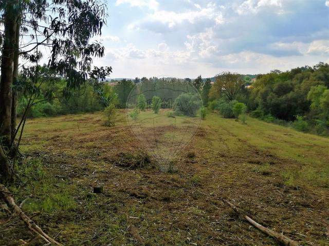 Terreno venda em Asseiceira, Tomar