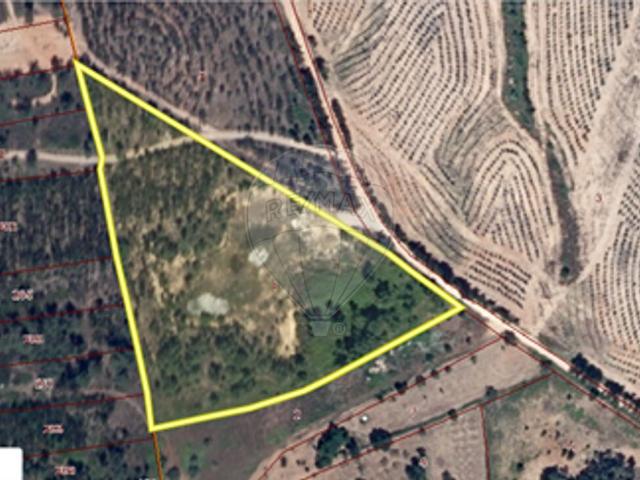 Terreno venda em Linhaceira, Tomar