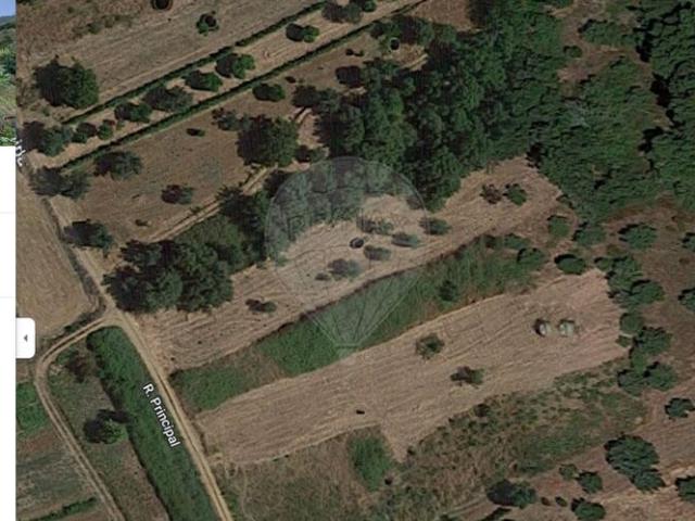 Terreno venda em Algarvias, Tomar
