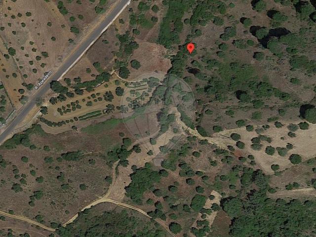 Terreno venda em Algarvias, Tomar