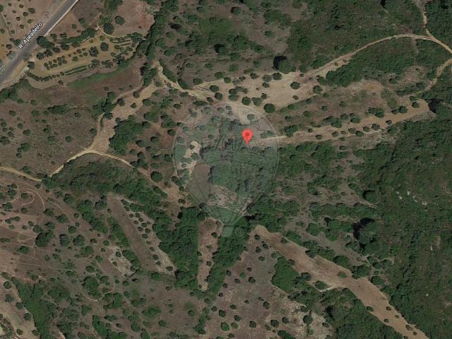 Terreno venda em Madalena e Beselga, Tomar