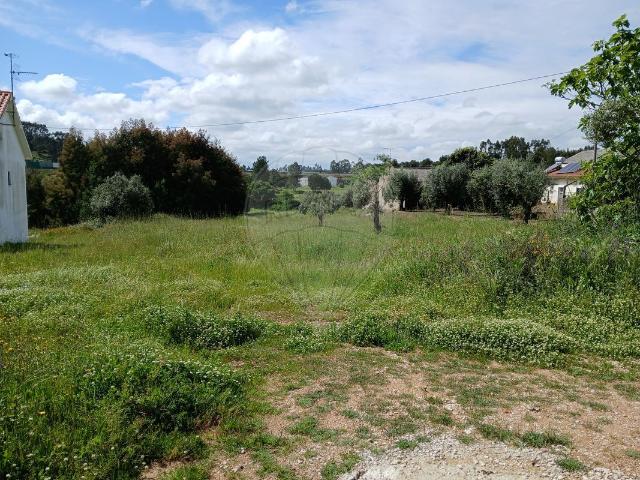 Terreno venda em Tomar, Santarém