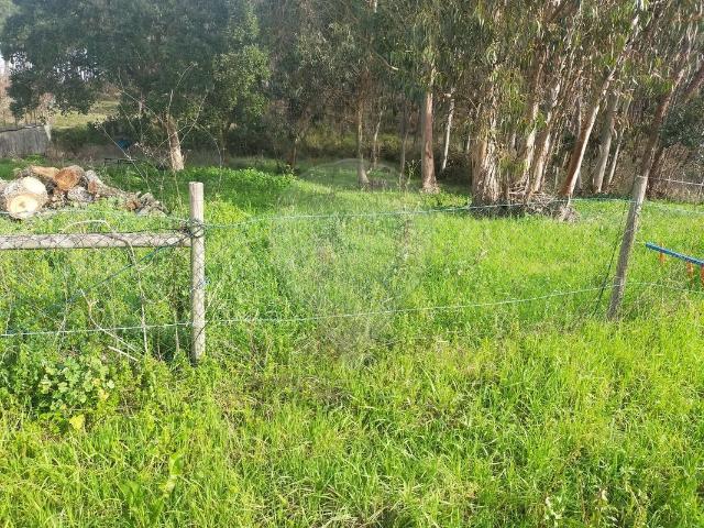 Terreno venda em Madalena e Beselga, Tomar