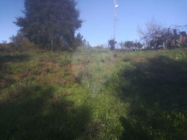 Terreno venda em Vale Carneiro, Tomar