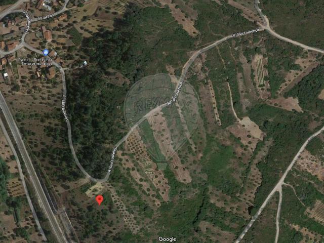Terreno venda em Madalena e Beselga, Tomar