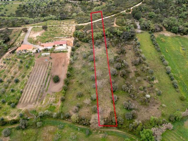 Terreno venda em Madalena e Beselga, Tomar